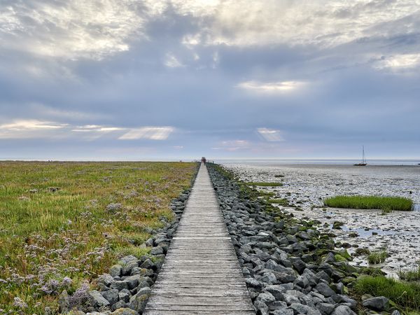 Langer Steg in Cappel-Neufeld mit Meer auf der rechten und Grünfläche auf der linken Seite.